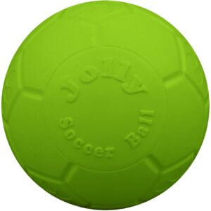 Jolly Pets Medium Soccer Ball Floating-Bouncing Dog Toy