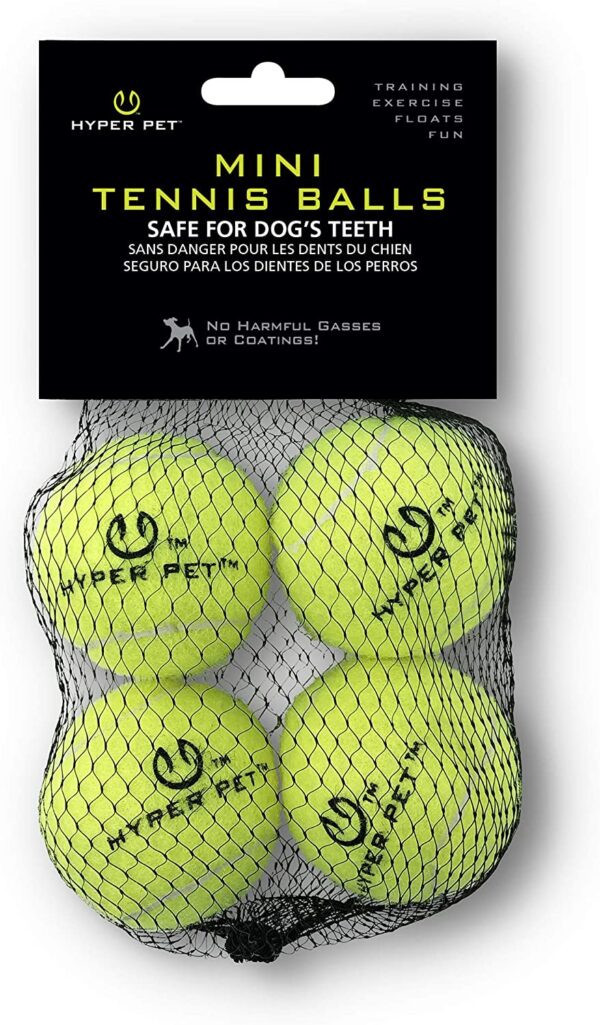 Mini Tennis Balls for Dogs