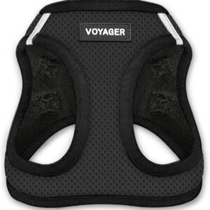 Voyager Step-in Air Dog Harness