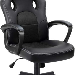 Computer Chair Headrest and Lumbar Support